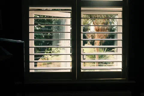 A photo from a dark room looking out through shutters to a brightly lit garden outside.