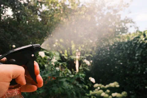 A photo taken in a garden, in the foreground, a hand holds a mister, squeezing the trigger. The brightly lit garden is visible through a mist.